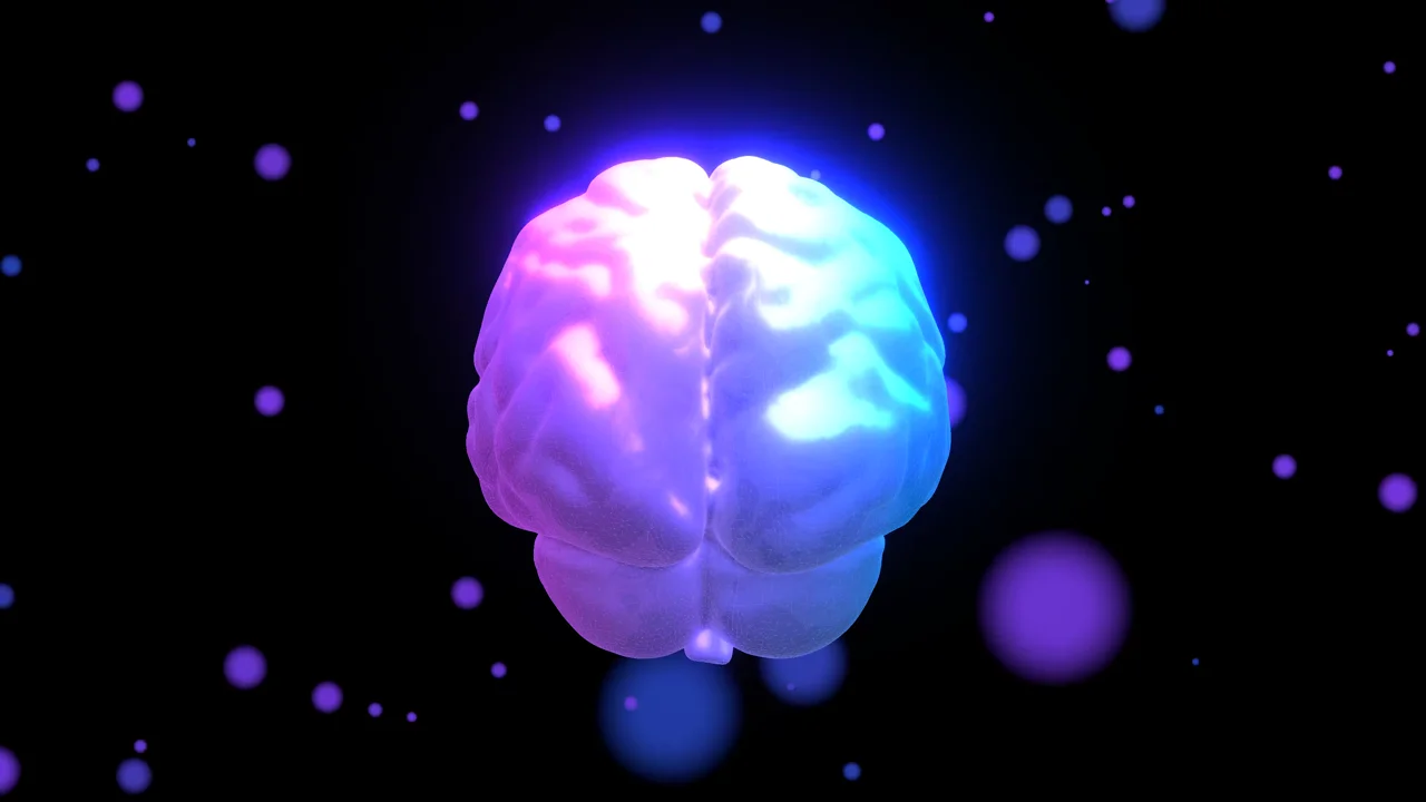 3D visualization of a human brain representing mental imagery and aphantasia